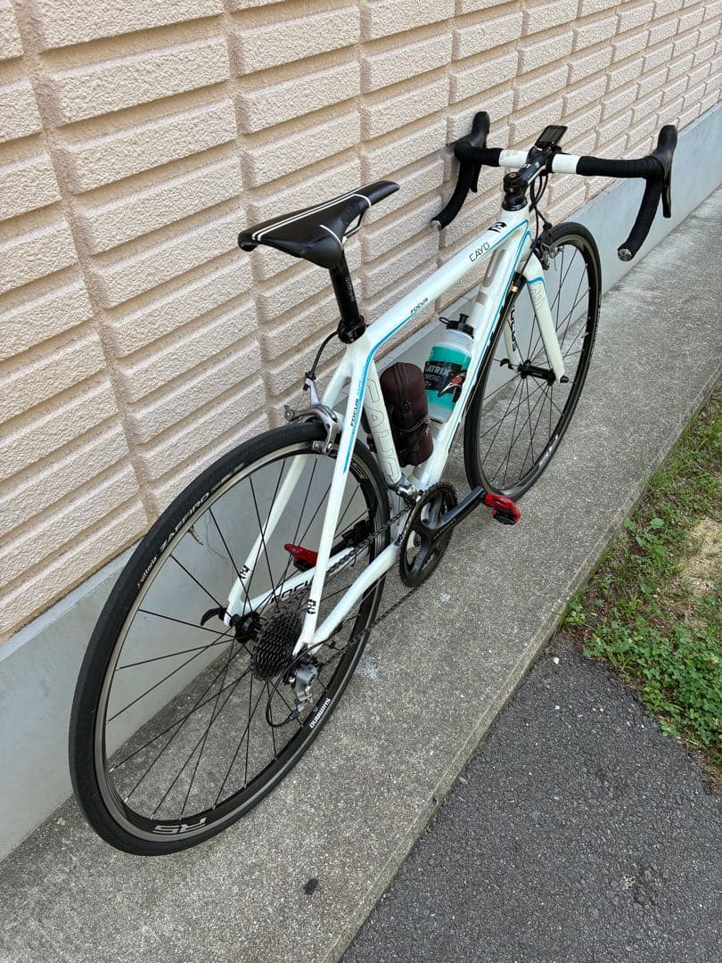 2011フォーカス　カヨ　XS