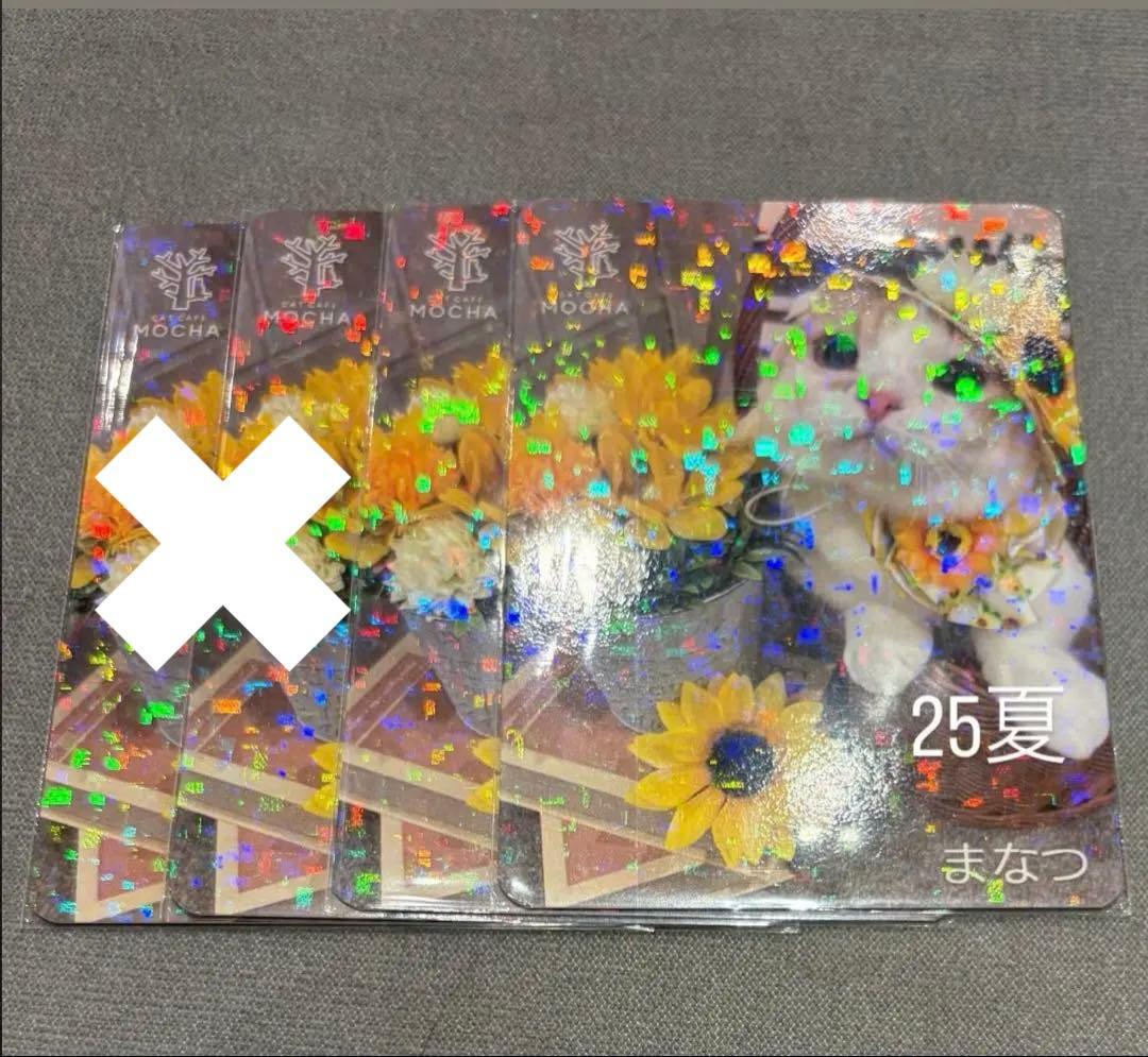 猫カフェ mocha 町田 にゃんずトレカ