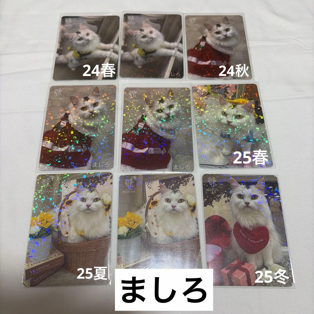 猫カフェ mocha 町田 にゃんずトレカ