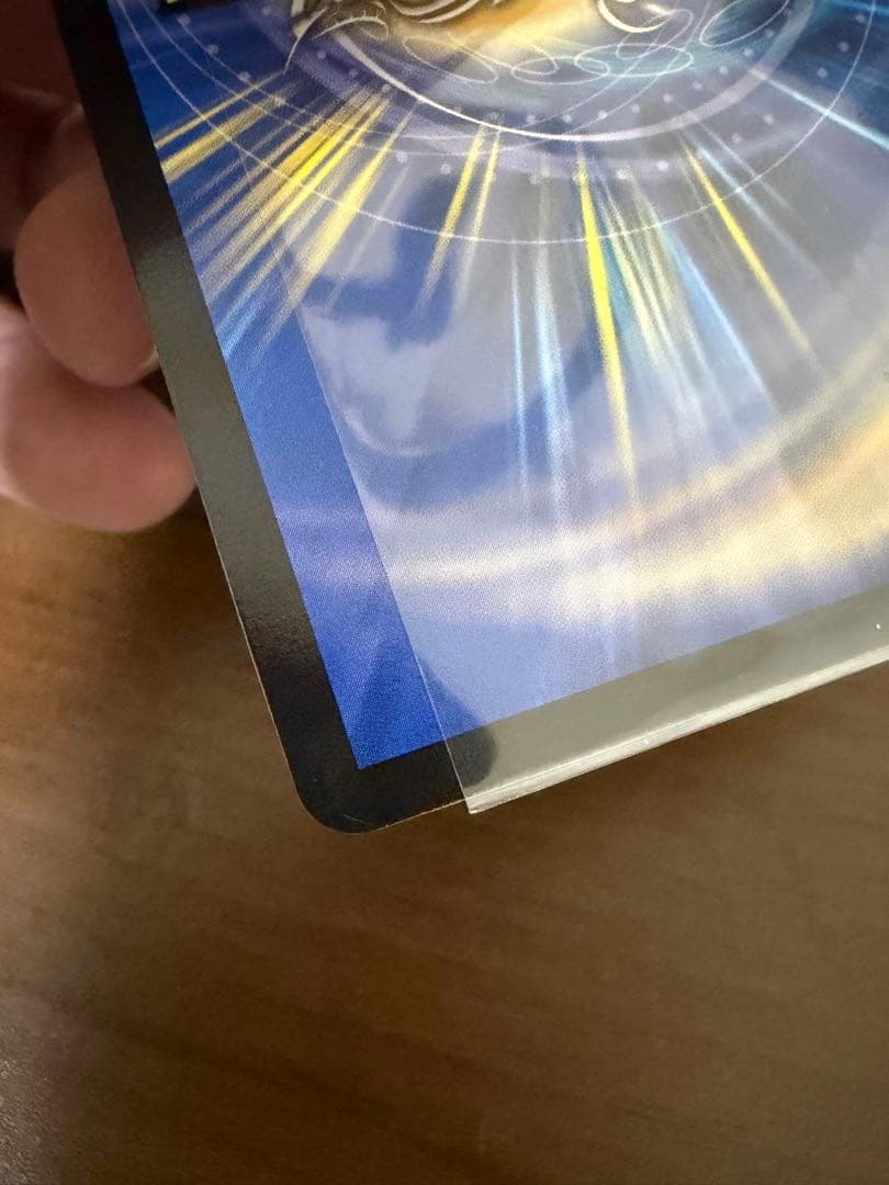 龍素記号wD サイクルぺディア　金