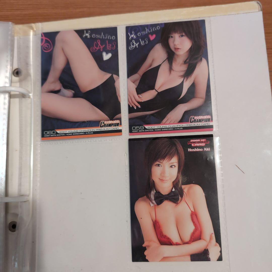 ほしのあきサイン入り写真、トレカ