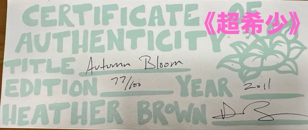【新刊発売記念キャンペーン‼︎】期間限定『超お値下中‼︎』《見つけた方超ラッキー‼︎》