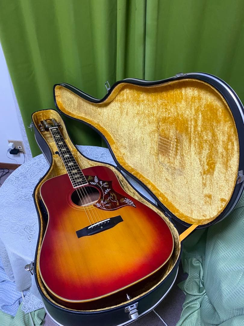 新春特価　Greco ハミングバード エレアコ　フジゲン製