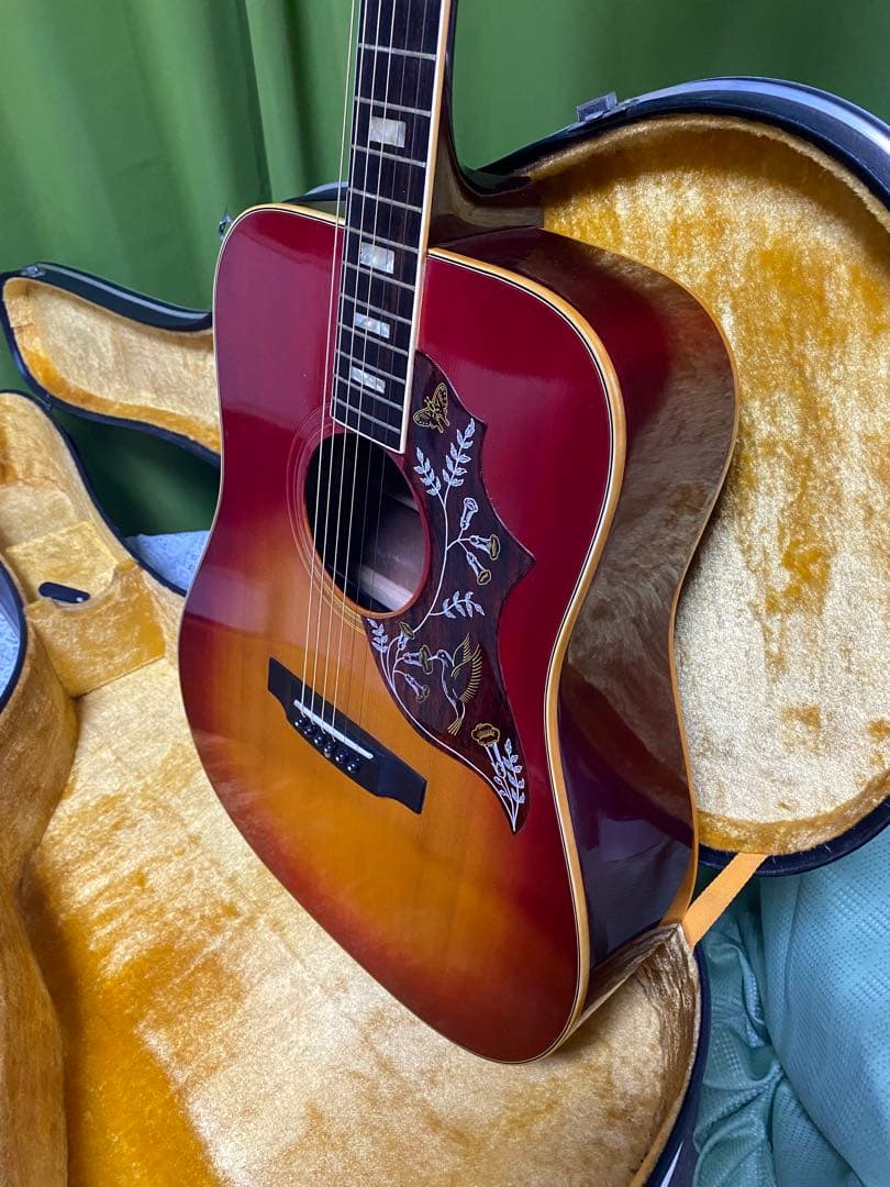 新春特価　Greco ハミングバード エレアコ　フジゲン製