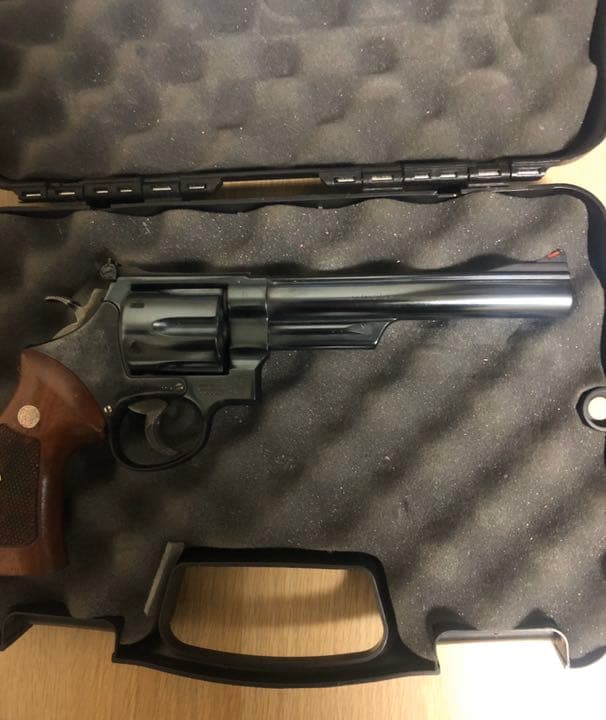 トイガン spriggan