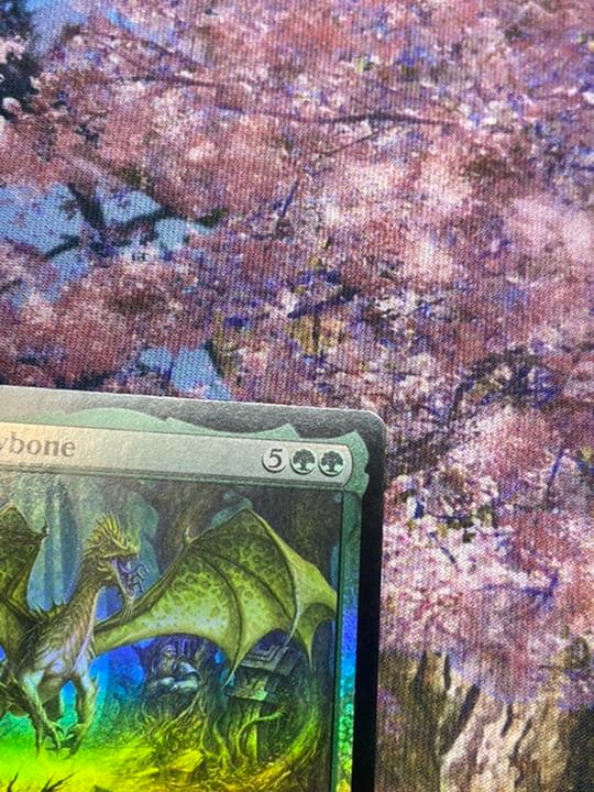 MTG アンパサンド プロモ 年老いた骨齧り　Old Gnawbone 美品