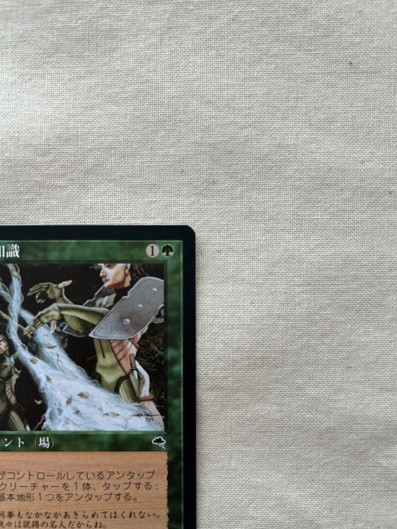 大地の知識　MTG