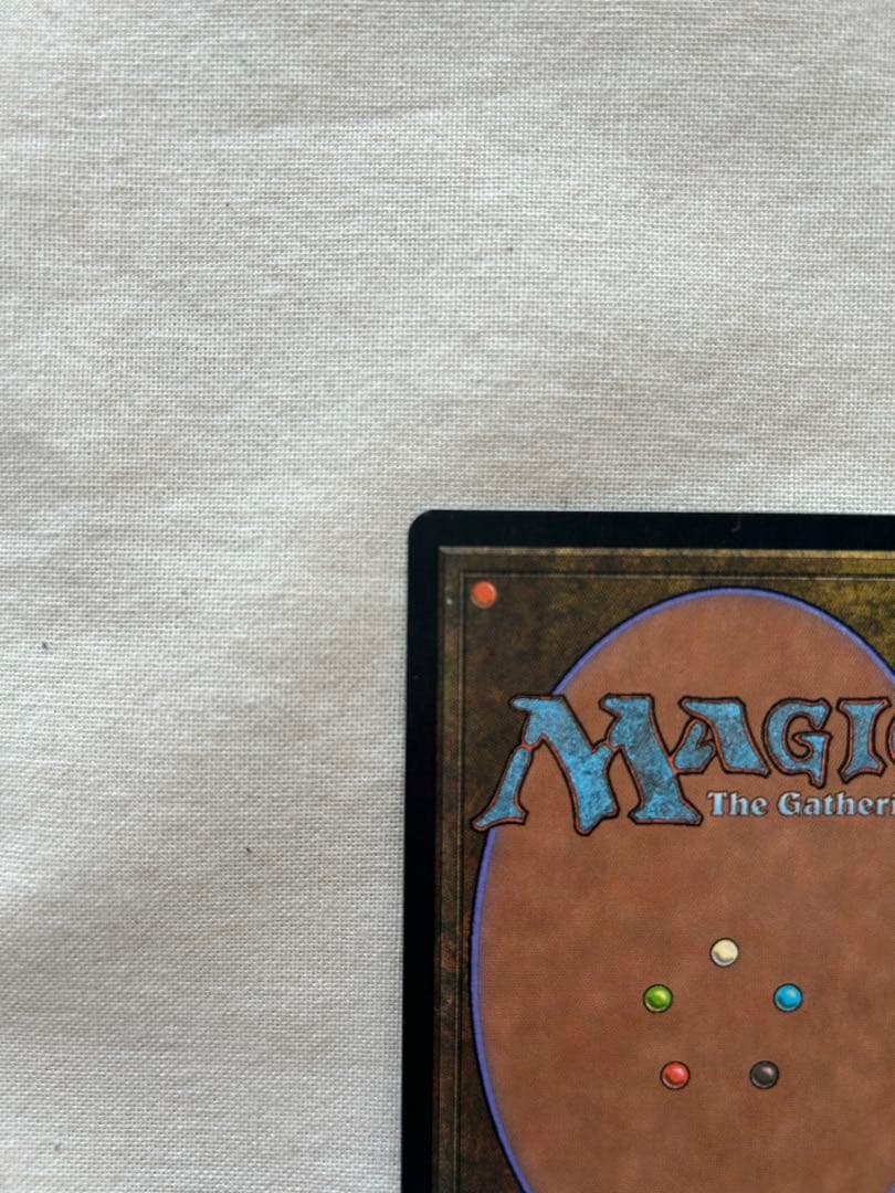 大地の知識　MTG