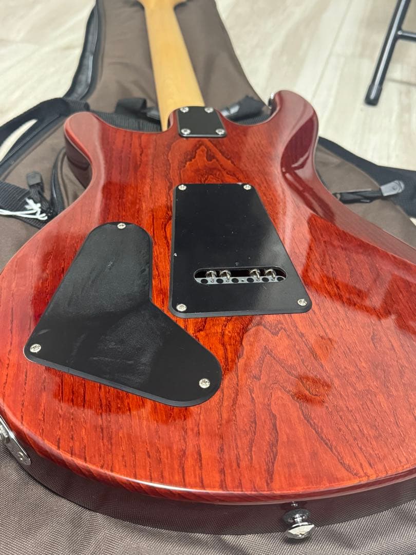 PRS SE Swamp Ash Special【中古】