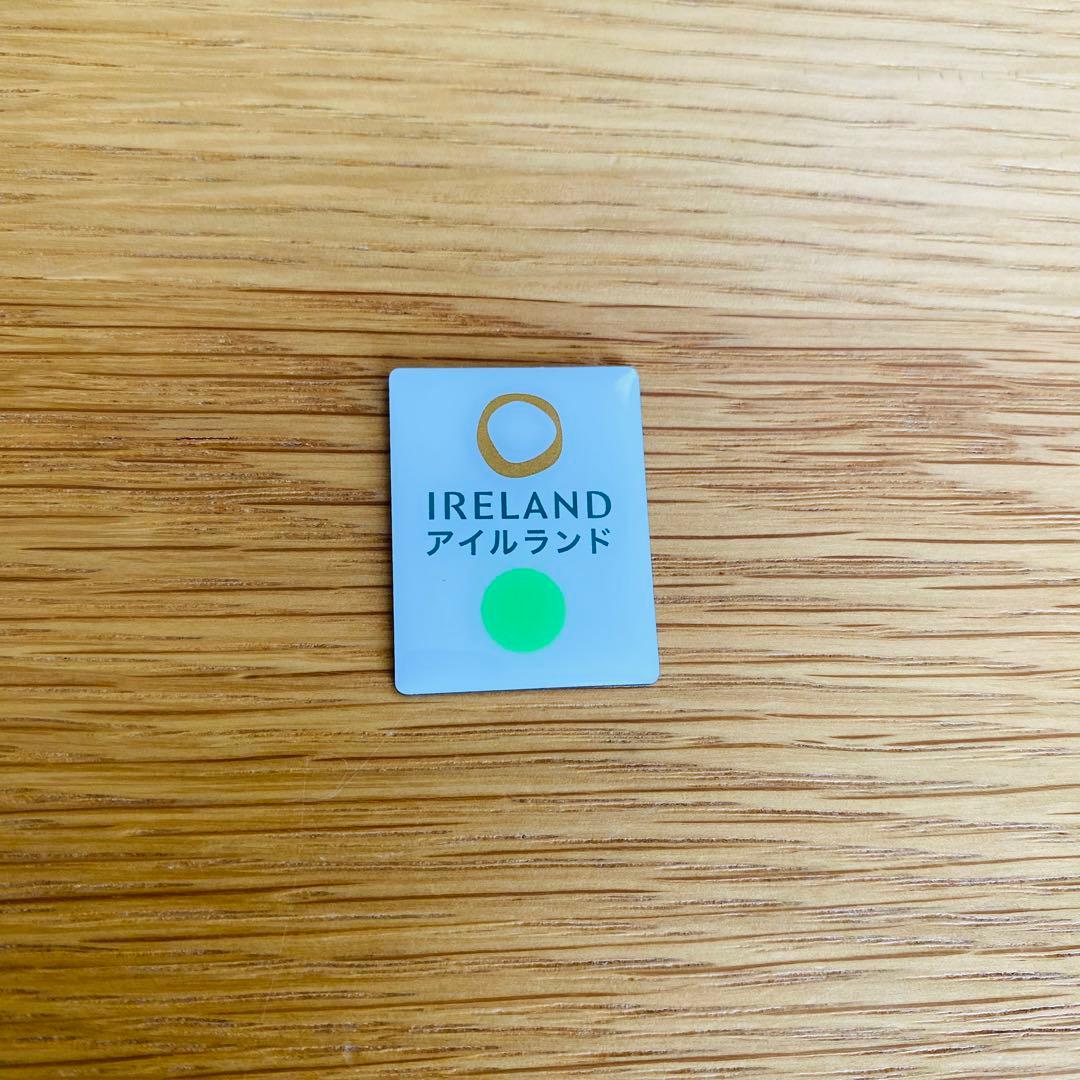 大阪・関西万博2025 非売品 アイルランド館記念品 ピンバッジ