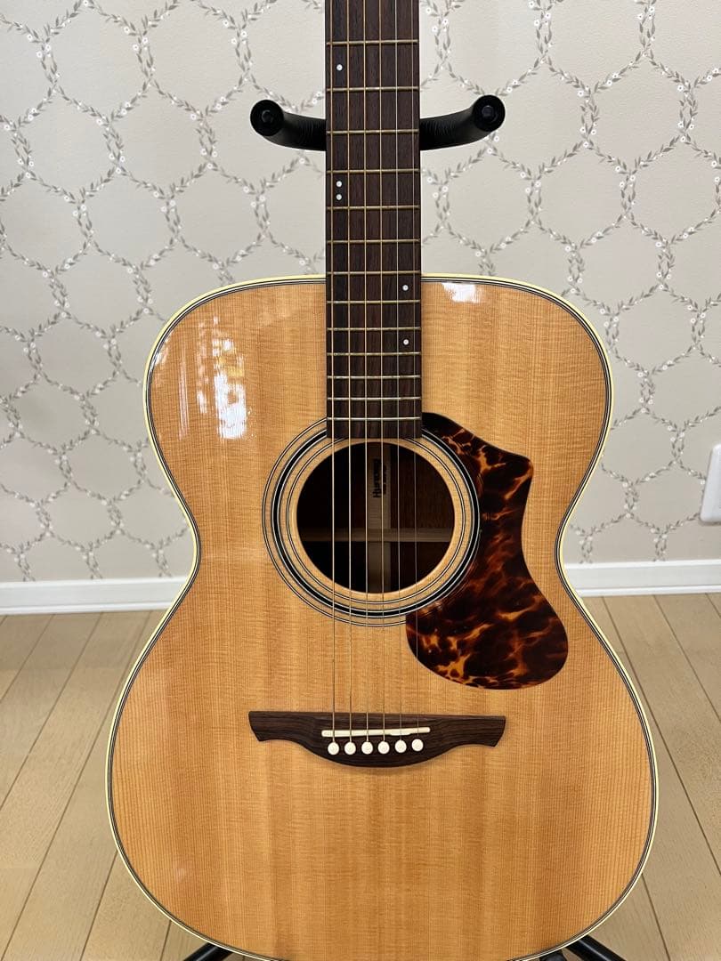 HISTORY NT S4 アコースティックギター ヒストリー nts4