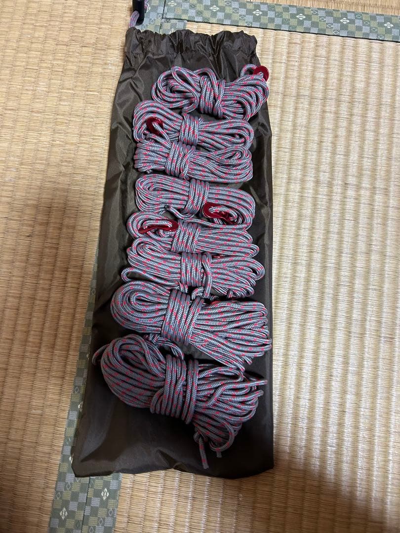 スノーピーク HDタープ ヘキサエヴォPro.アイボリーTP-260IV