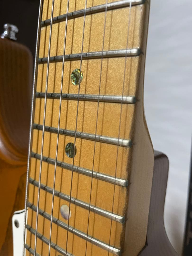 ESP SUFFER/9mm Parabellum Bullet滝善充モデル