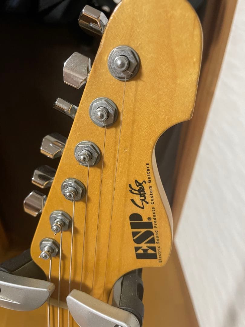 ESP SUFFER/9mm Parabellum Bullet滝善充モデル