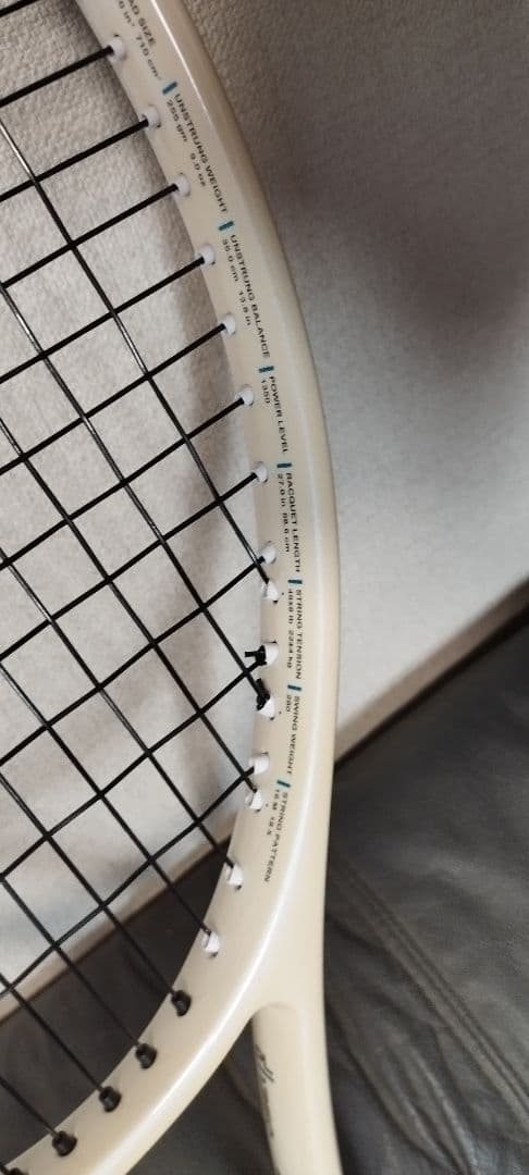 プリンス インブレ厶　110 2025年　モデル