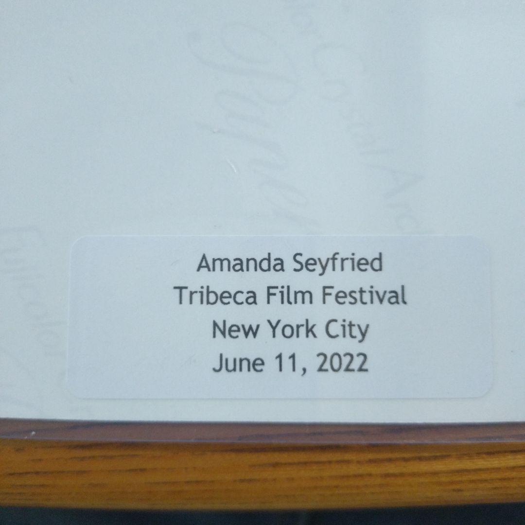 アマンダ・セイフライド（セイフリッド）サイン　オートグラフ　8×10インチ