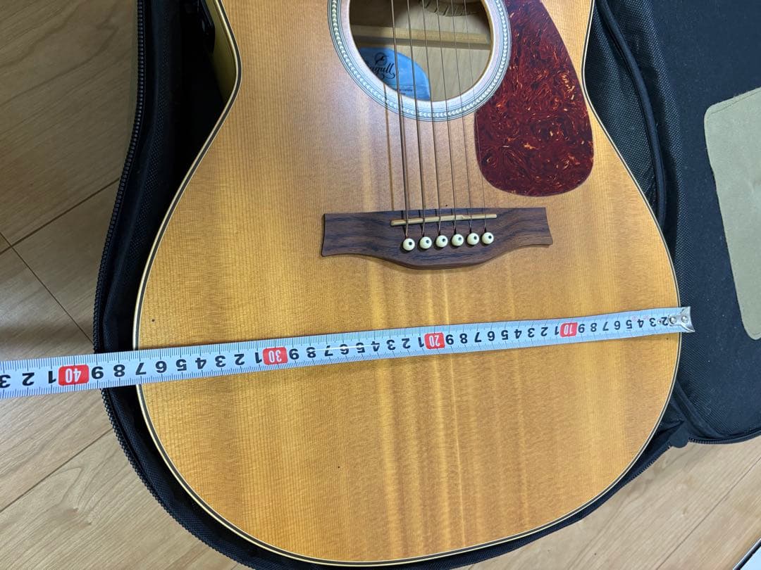 エレアコ　ギター seagull Amber Trail シーガル