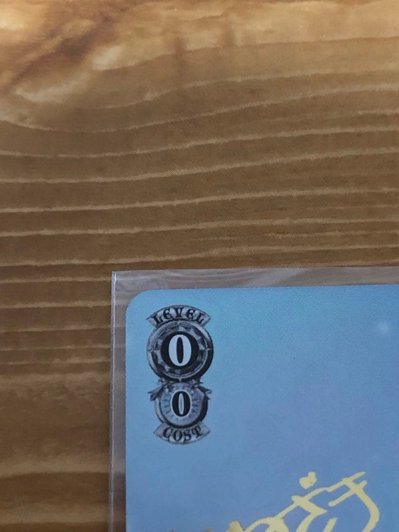 ヴァイスシュヴァルツ 葬送のフリーレン 冬の装い フリーレン sp サイン