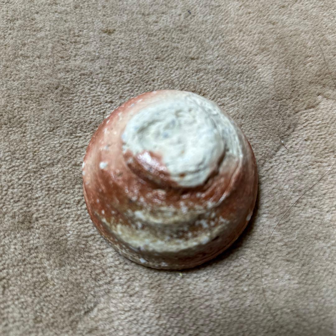 伊賀　谷本洋　ぐい呑