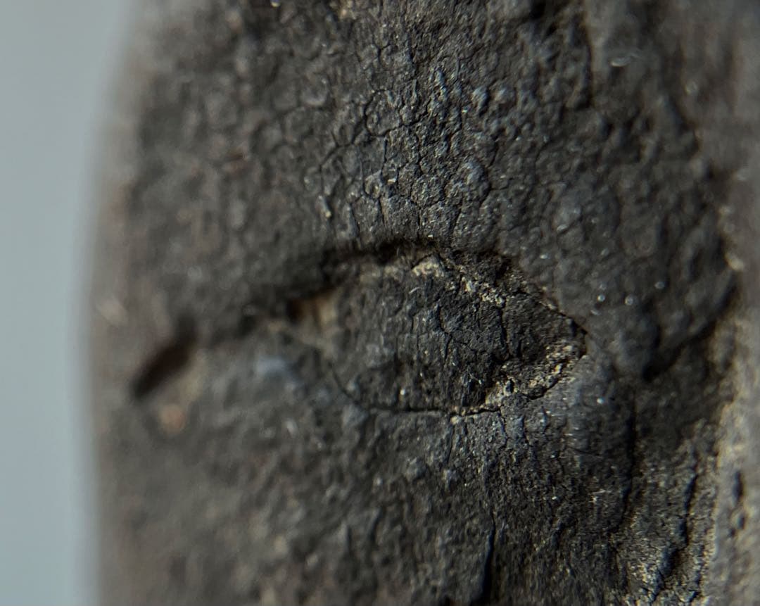 【いい顔、です、、黎明期の恵比寿像】室町骨董七福神アンティーク仏像美術彫刻民藝