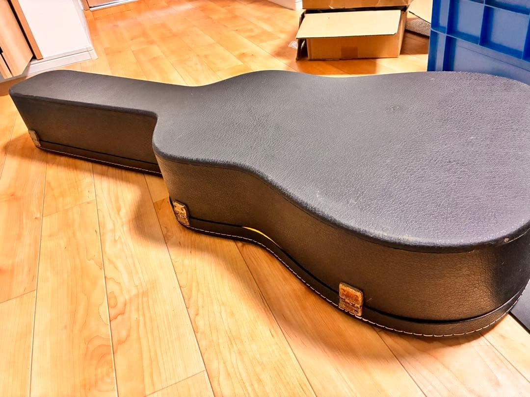 ギター Cat's Eyes CE-600