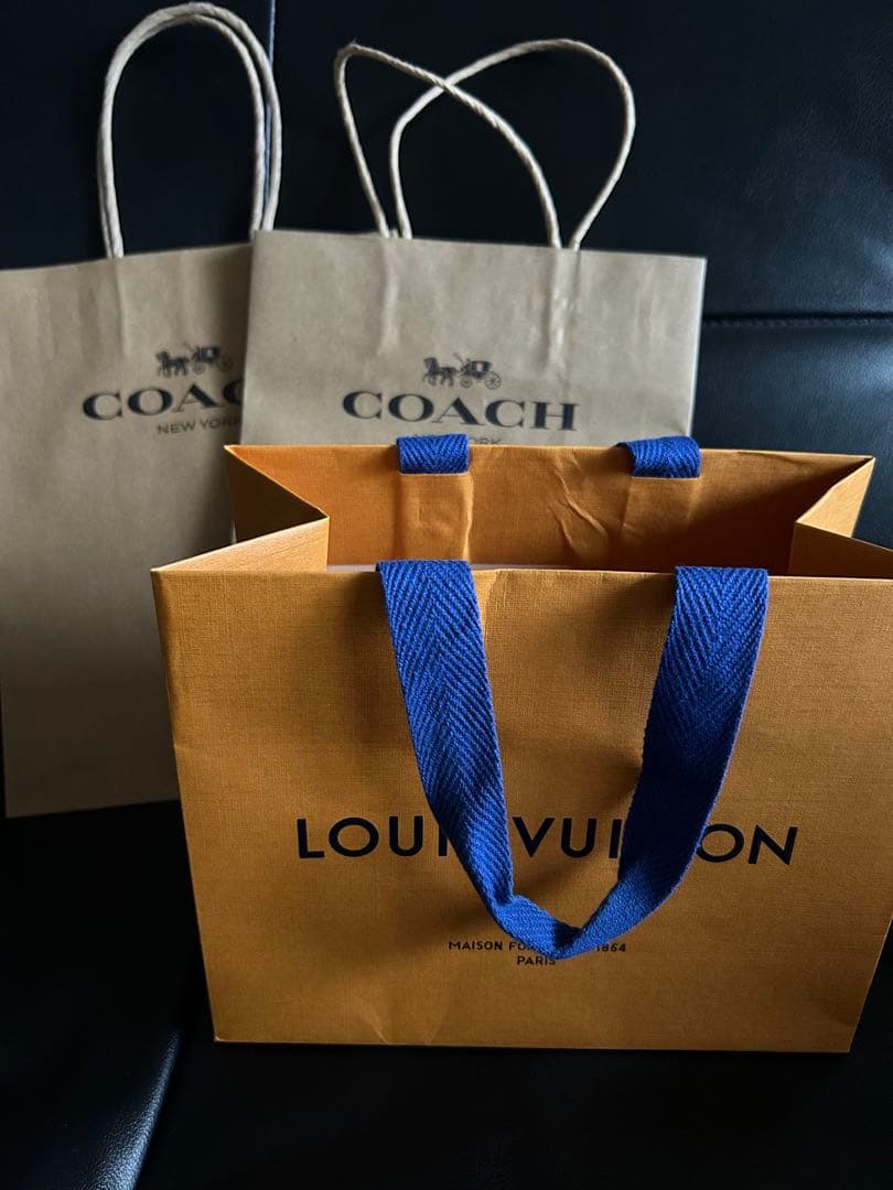 LOUIS VUITTON & COACH (２枚) ショッパー