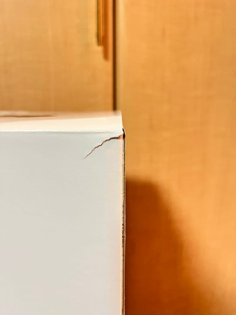 専用ページ　エクスプラス　少年リック ギガンティックシリーズ　ウルトラマンエース