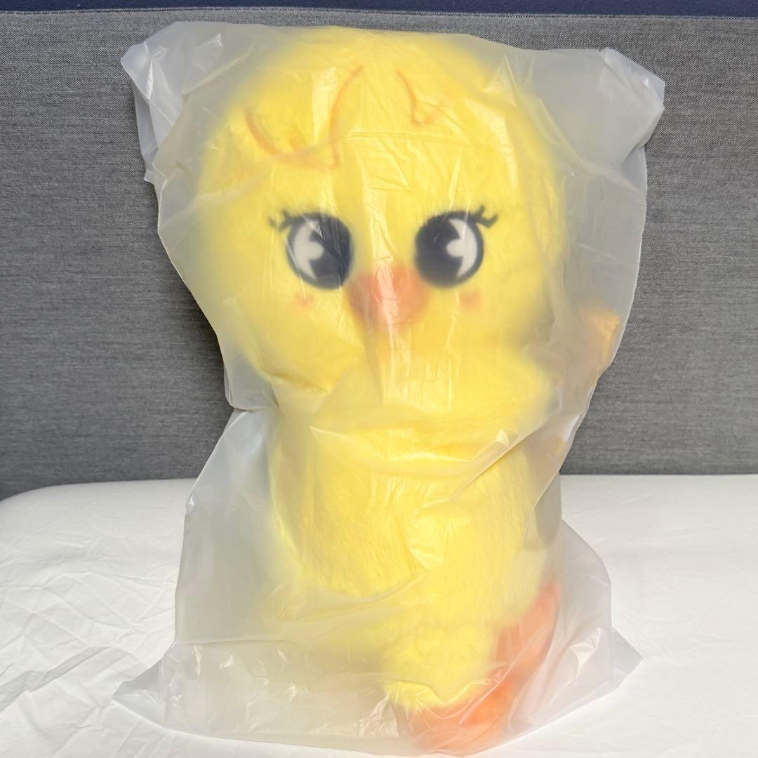 straykids celebrATE プラッシュバッグ ポガリ