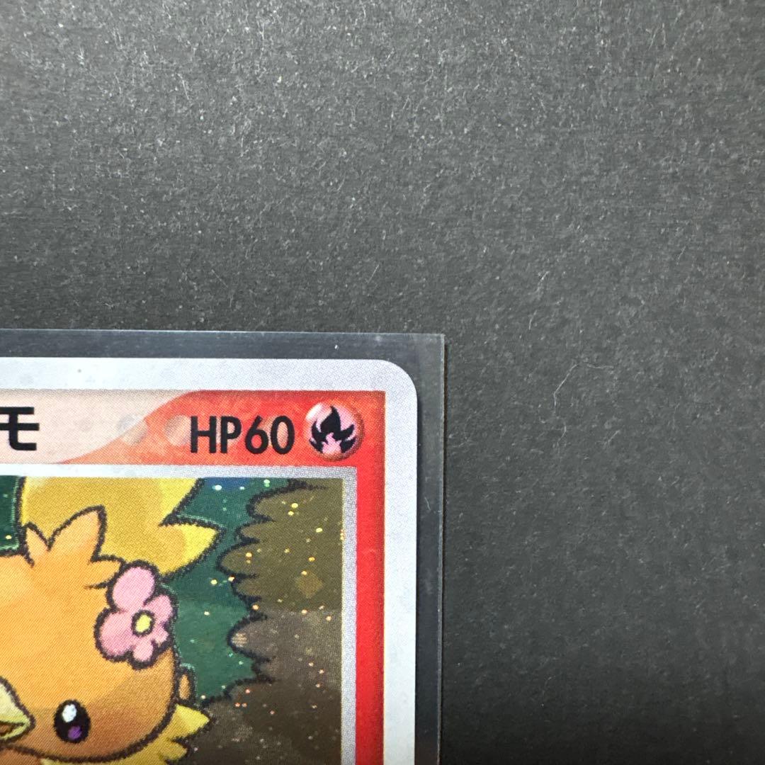 12/0496 良品 ポケパークのアチャモ 002/009