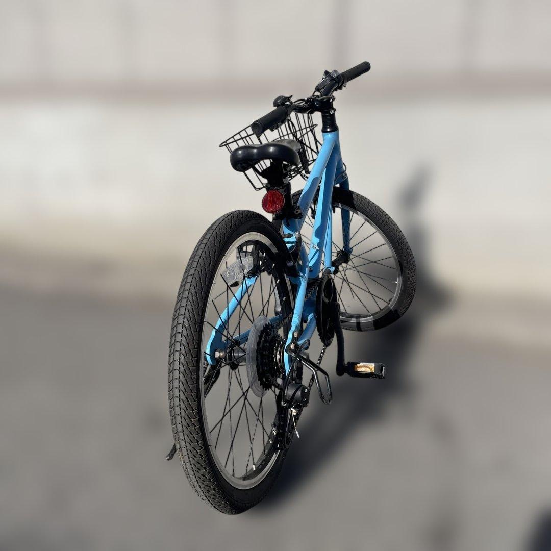 RITEWAY ライトウェイ ZIT 20インチ 子供用 自転車　純正カゴ付き