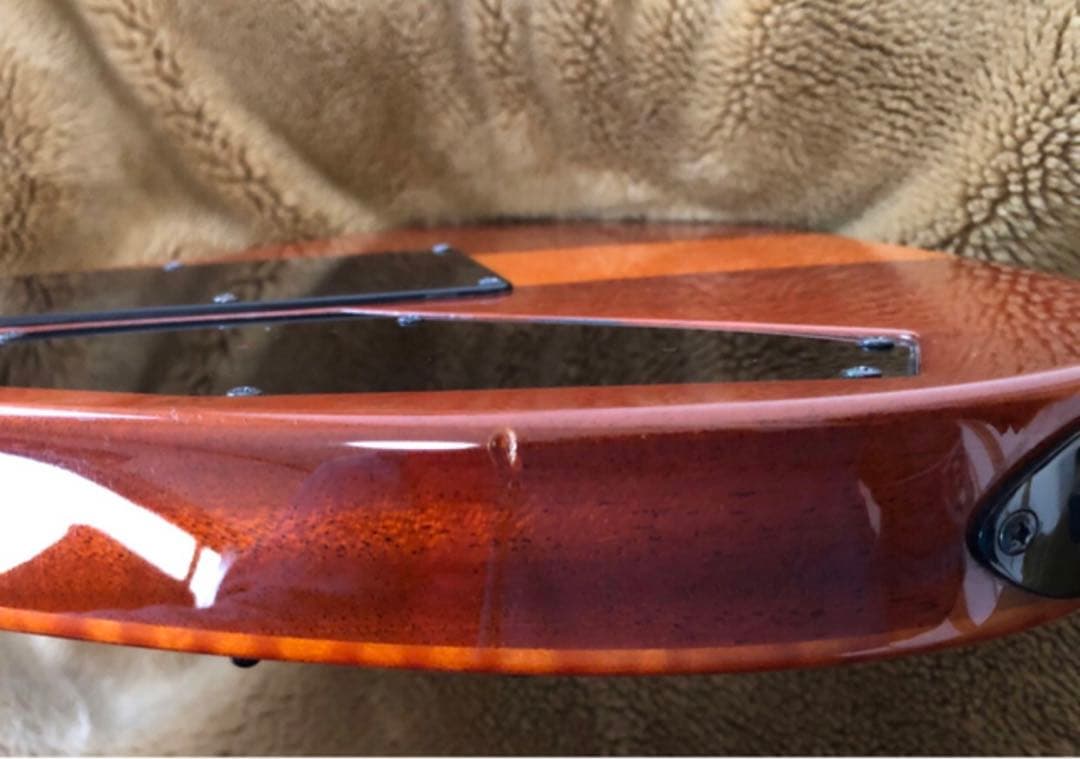 ESP HORIZON CUSTOM 30周年記念モデル