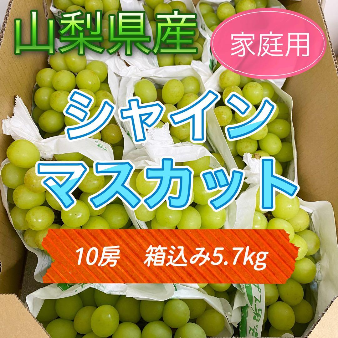 山梨県産　訳あり　家庭用　シャインマスカット　10房　箱込み5.7kg ④