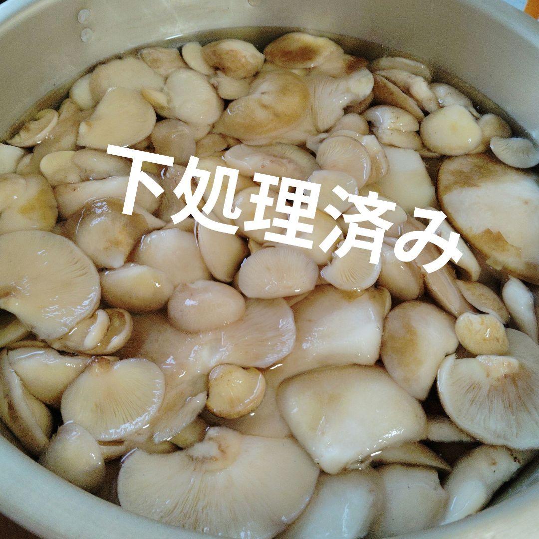 生　なめこ2kg むきだけ2kg!!