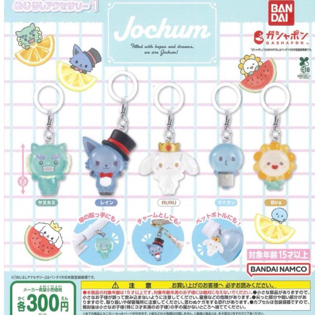 JOCHUM めじるし コンプセット