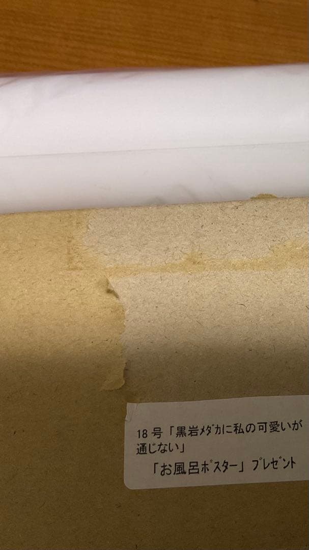 黒岩メダカに私の可愛いが通じない　お風呂ポスター