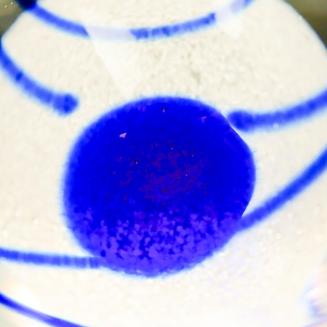 KOSTA BODA コスタボダ バーティル・ヴァリーン ペーパーウエイト