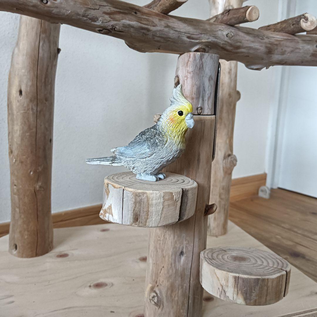 バードアスレチックジム大型 ⑫ 天然木 自然木 流木 インコ おもちゃ