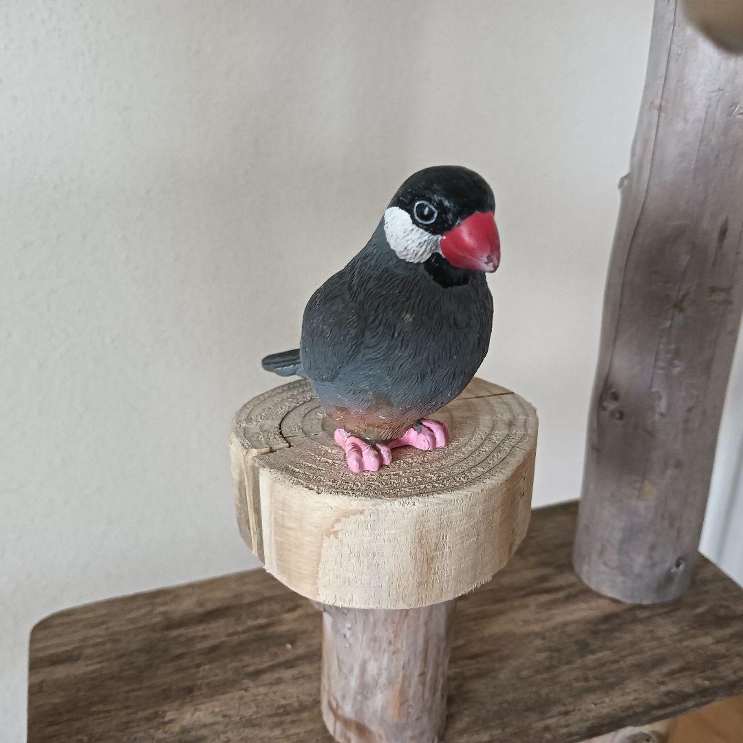 バードアスレチックジム大型 ⑫ 天然木 自然木 流木 インコ おもちゃ