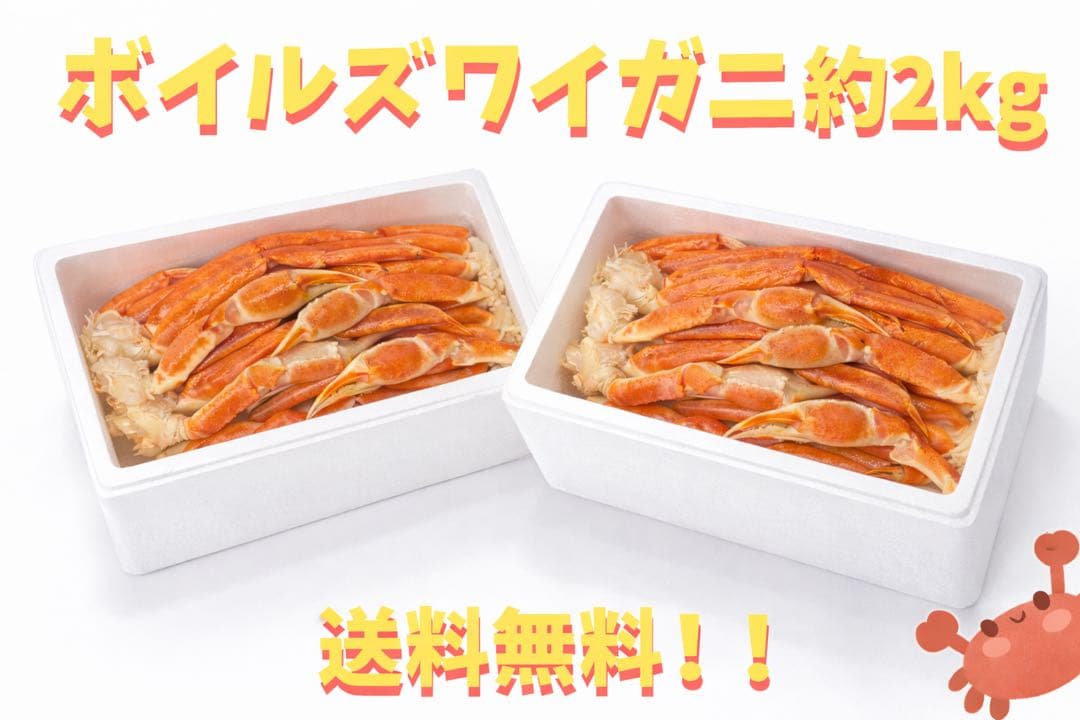 h*a様 【大満足実入り抜群】本ズワイガニ2キロ！早い者勝ち!味良し！実入り良し