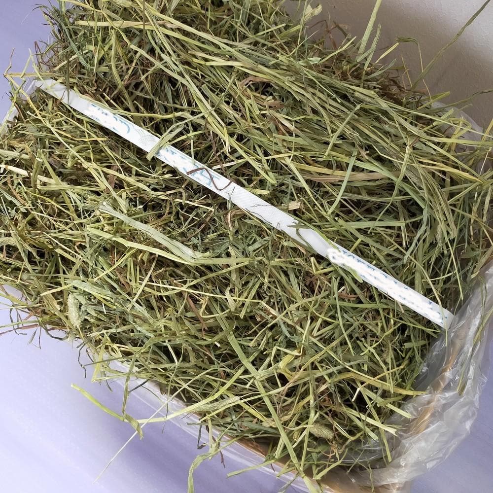 【12/30まで】US産 チモシー 60kg ２番刈 ソフトSプレミアム