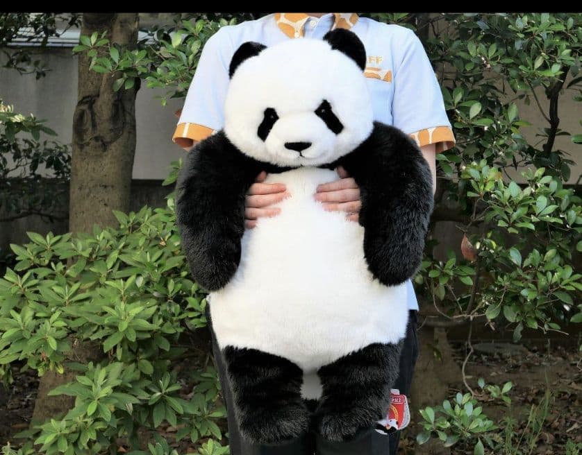 【新品・タグ付き】抱っこシャンシャン　パンダ　ぬいぐるみ