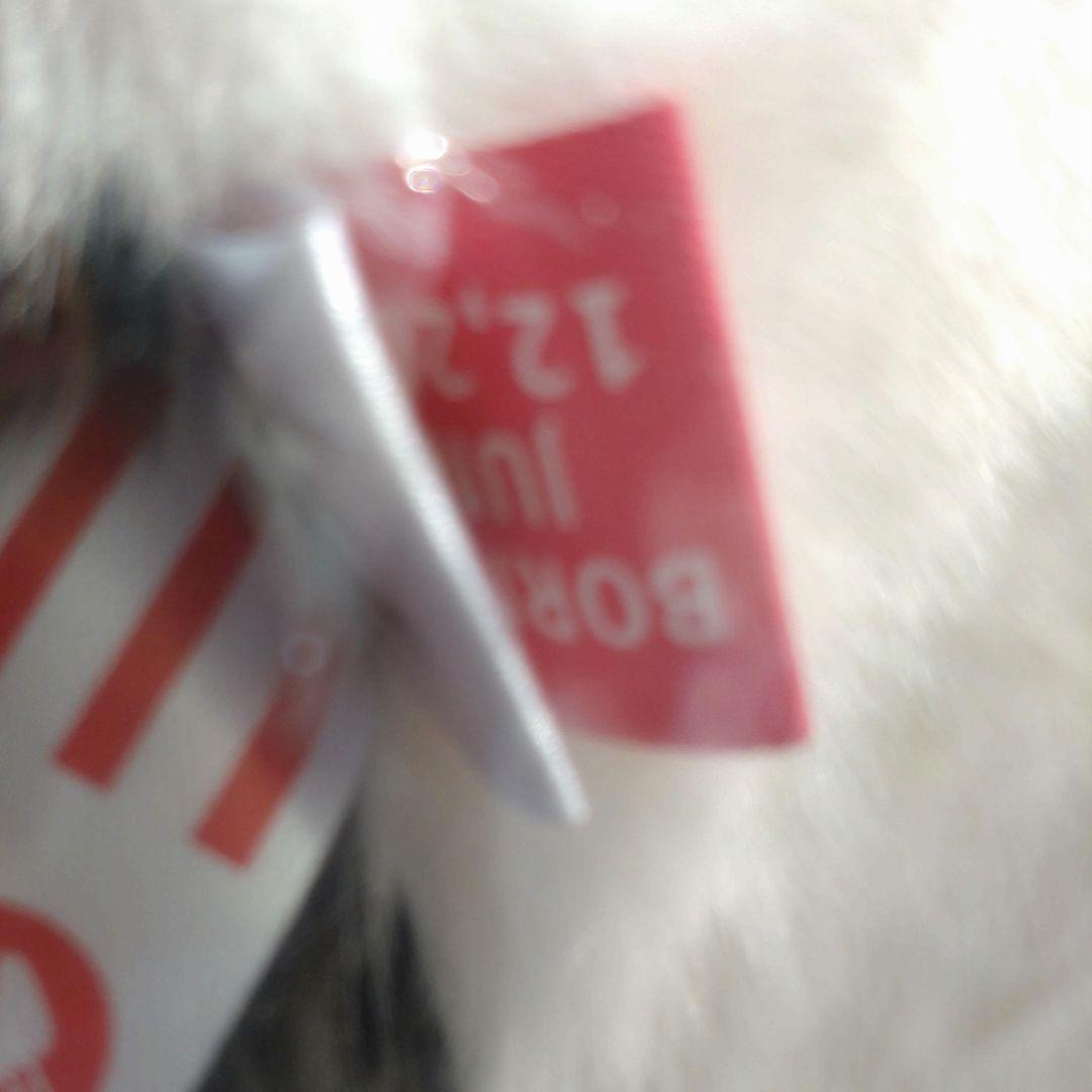 【新品・タグ付き】抱っこシャンシャン　パンダ　ぬいぐるみ