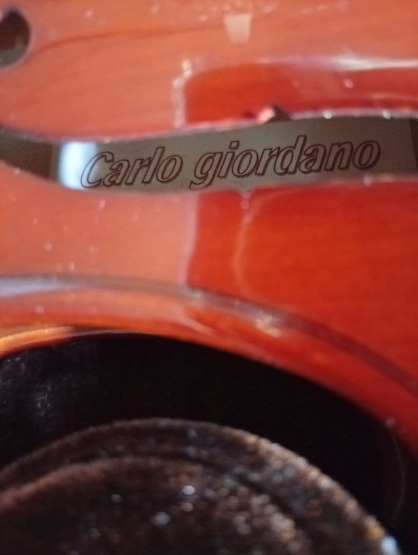 Carlo Giordano バイオリン VS-1 4/4　ケース付き　美品