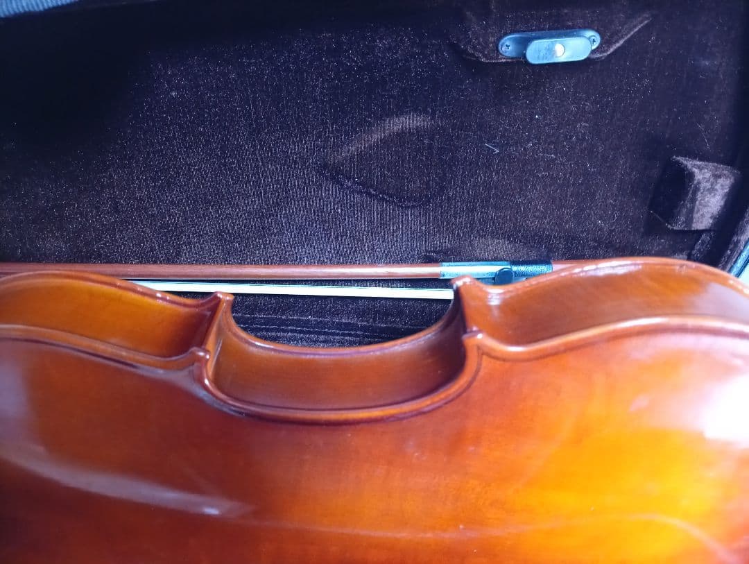 Carlo Giordano バイオリン VS-1 4/4　ケース付き　美品