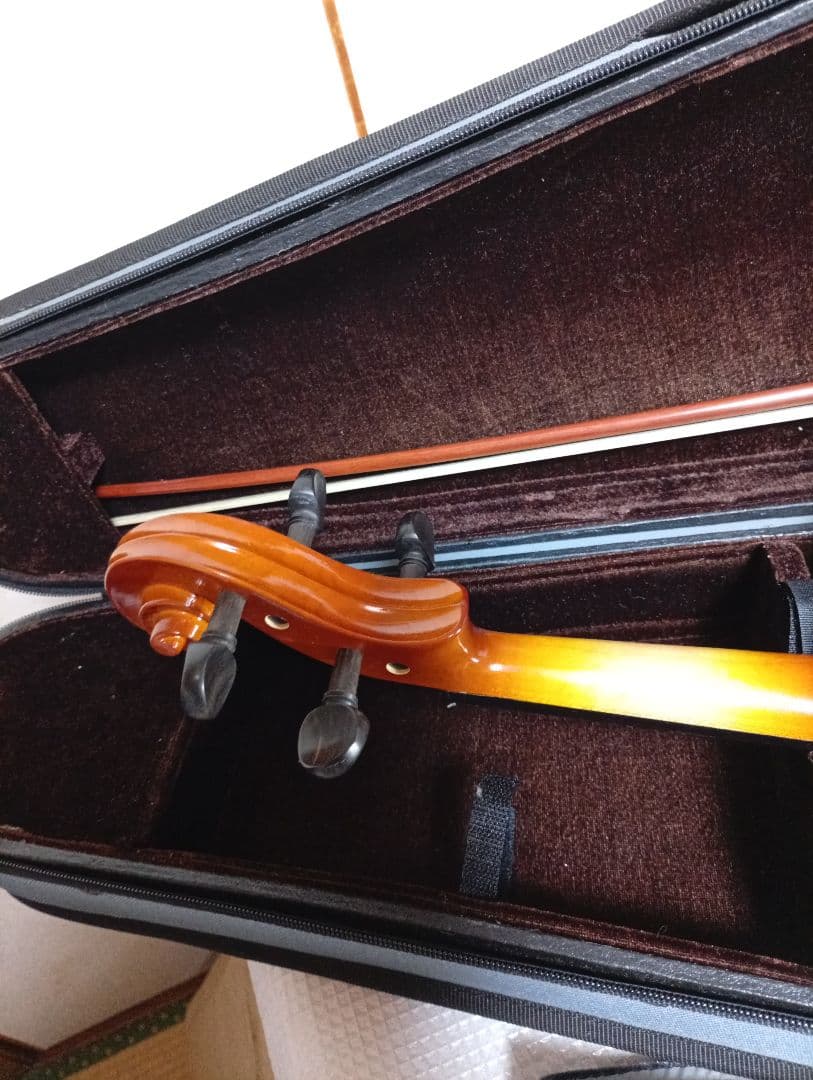 Carlo Giordano バイオリン VS-1 4/4　ケース付き　美品