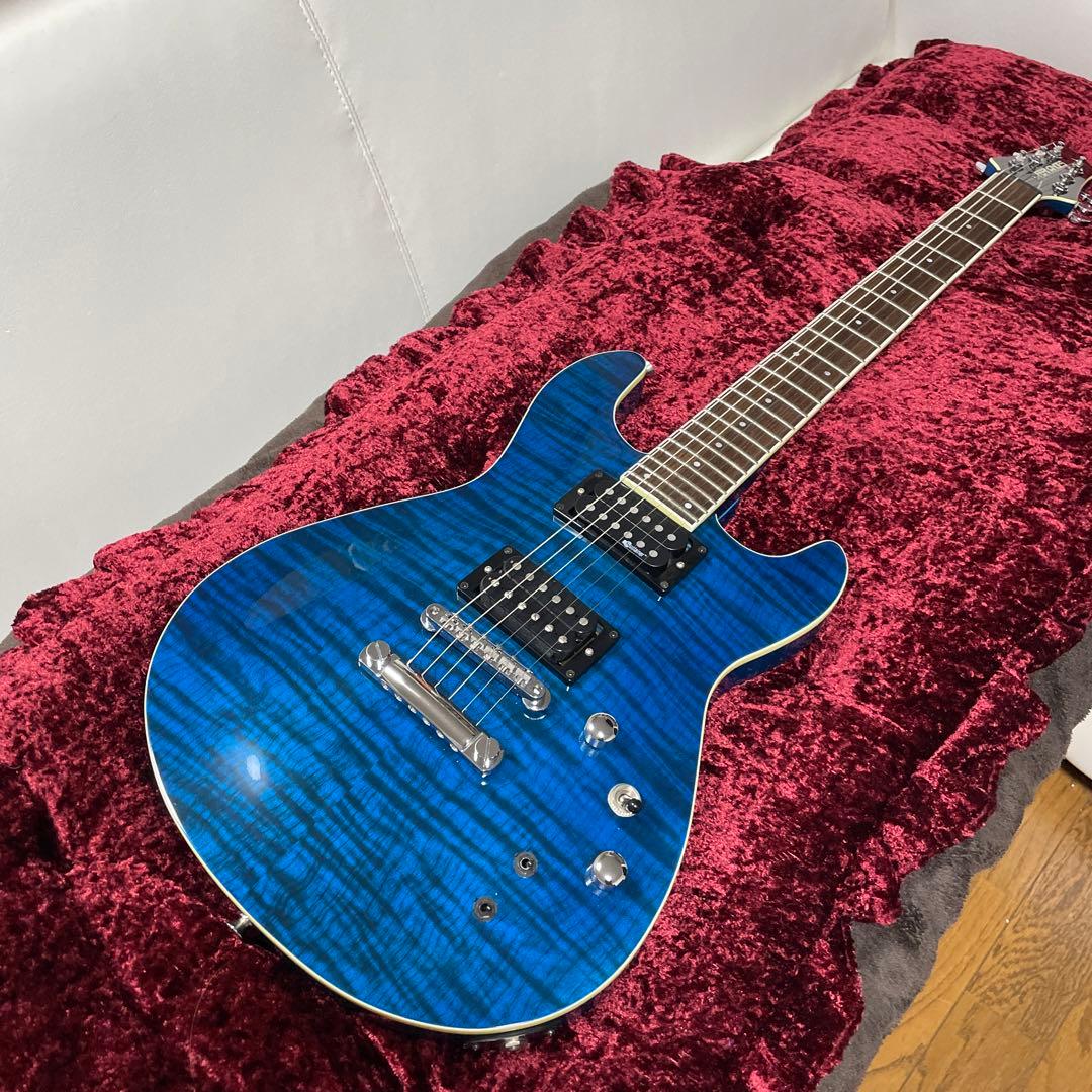 美品　フェルナンデス　APG -55S Blue