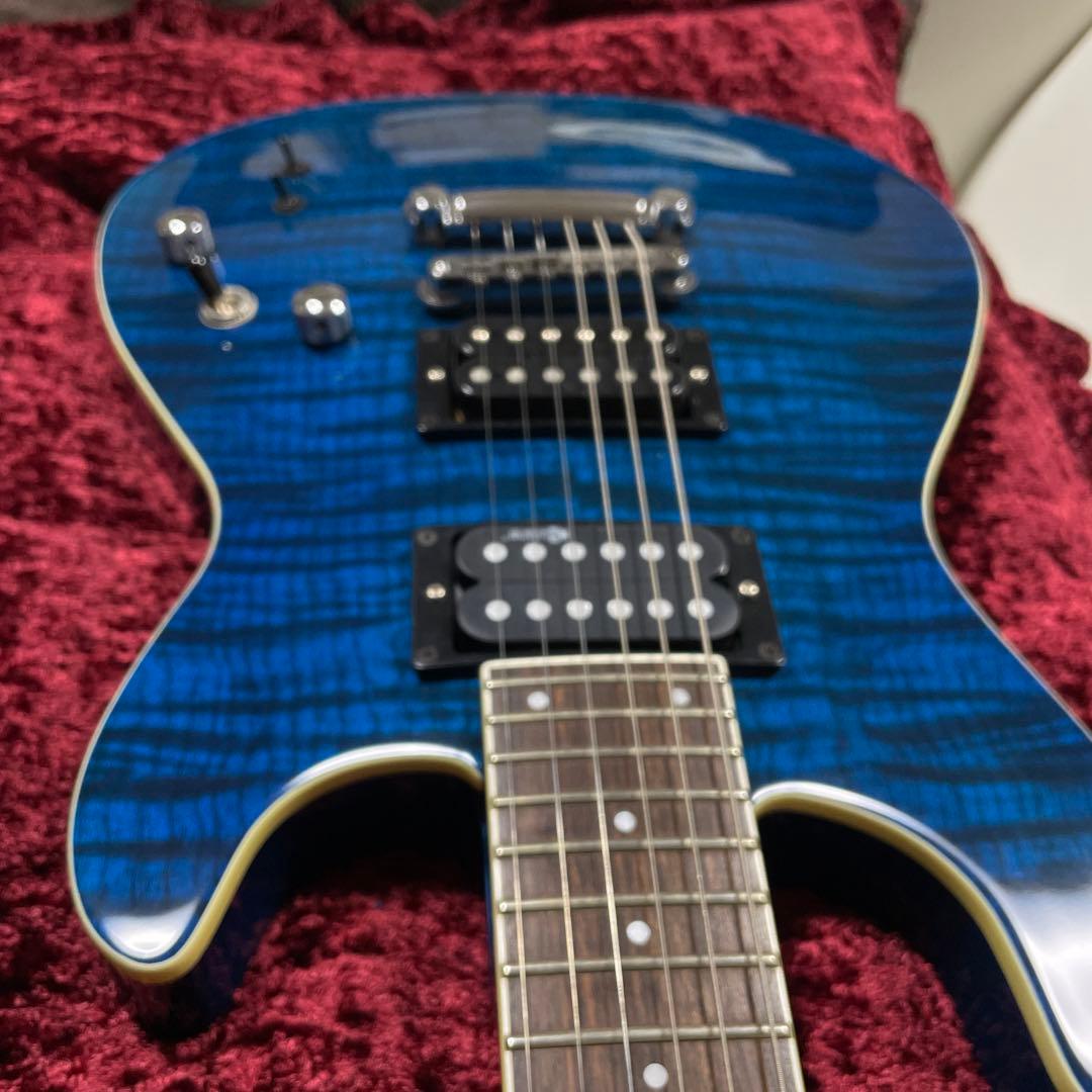 美品　フェルナンデス　APG -55S Blue