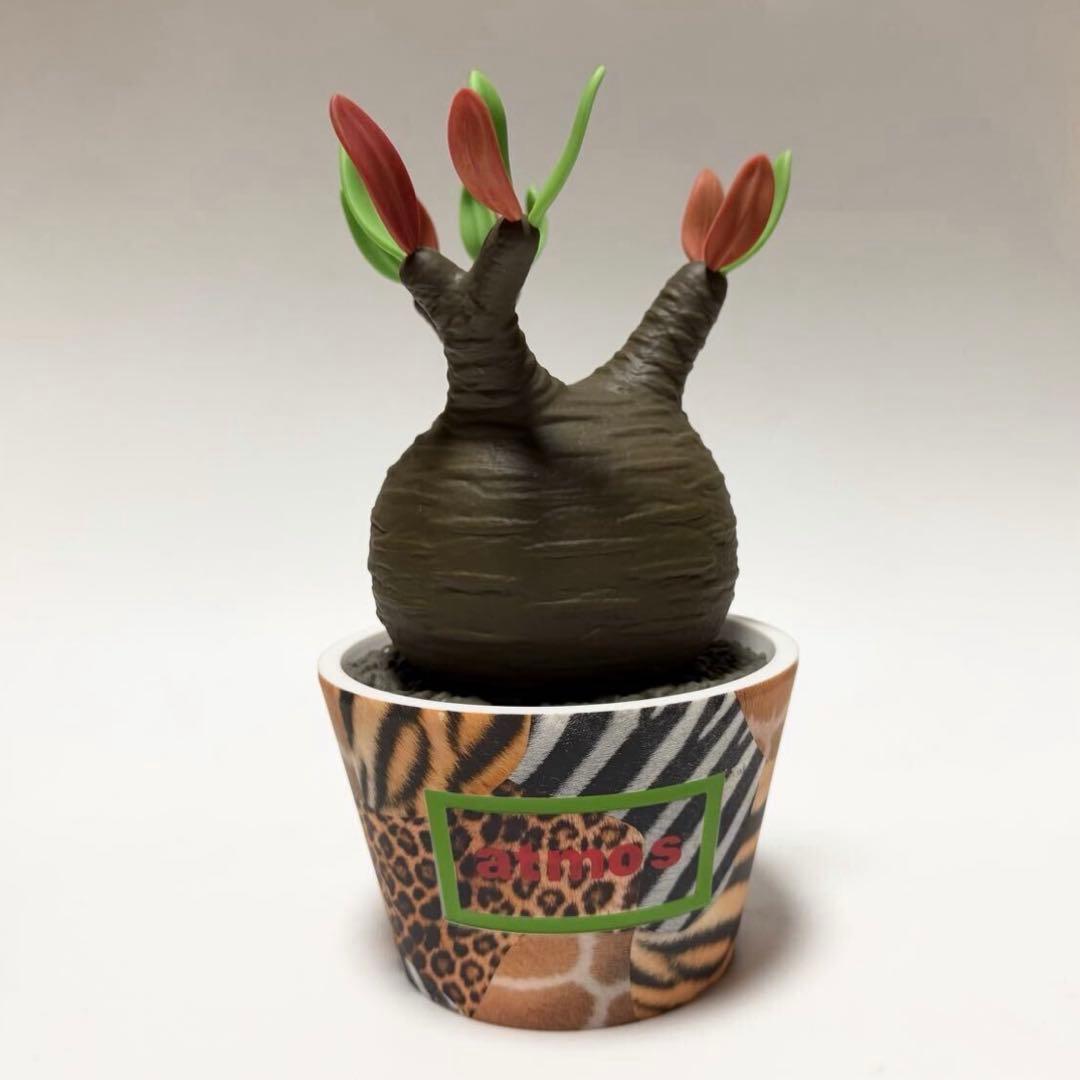 メディコムトイ パキポディウム グラキリス アトモス アニマル フィギュア