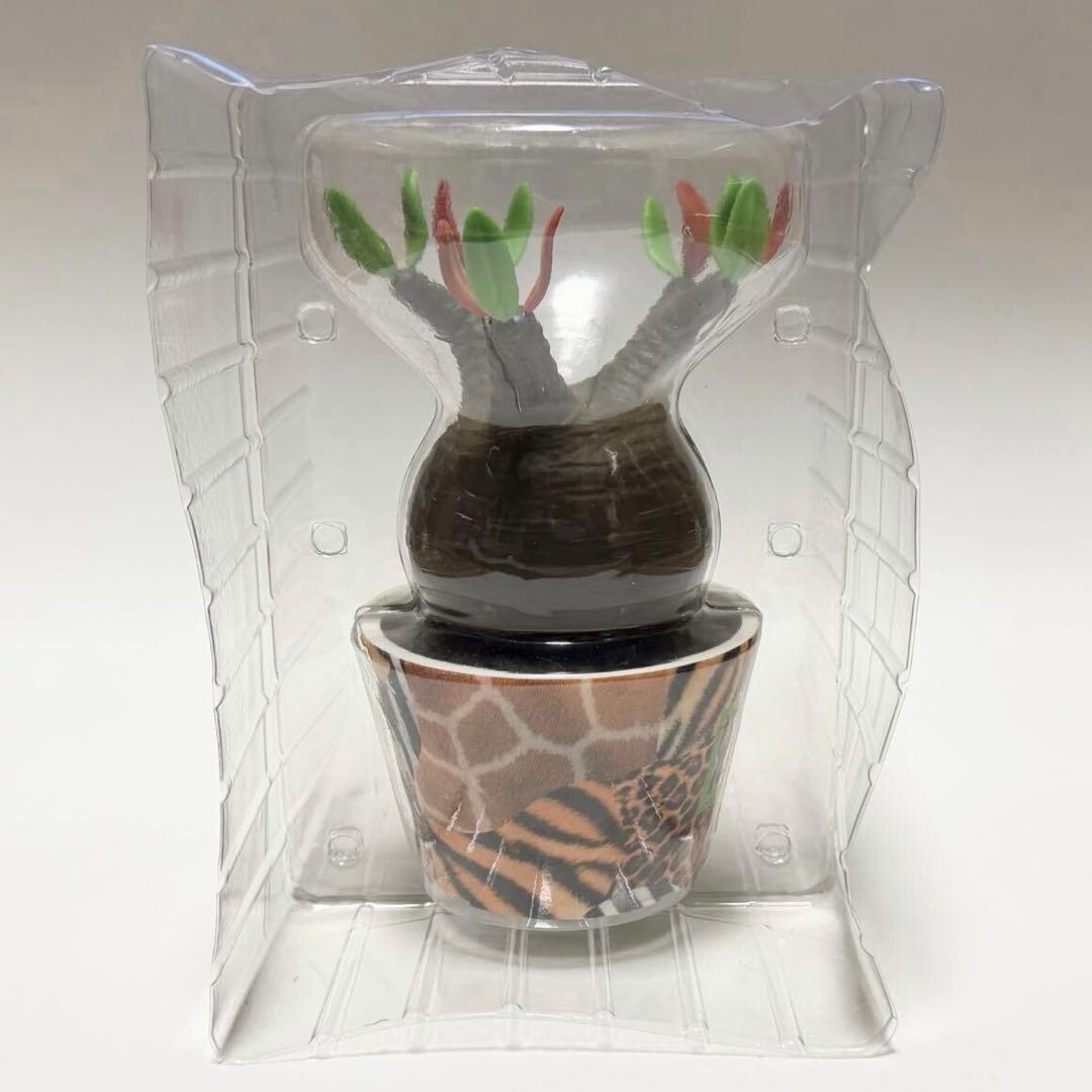 メディコムトイ パキポディウム グラキリス アトモス アニマル フィギュア