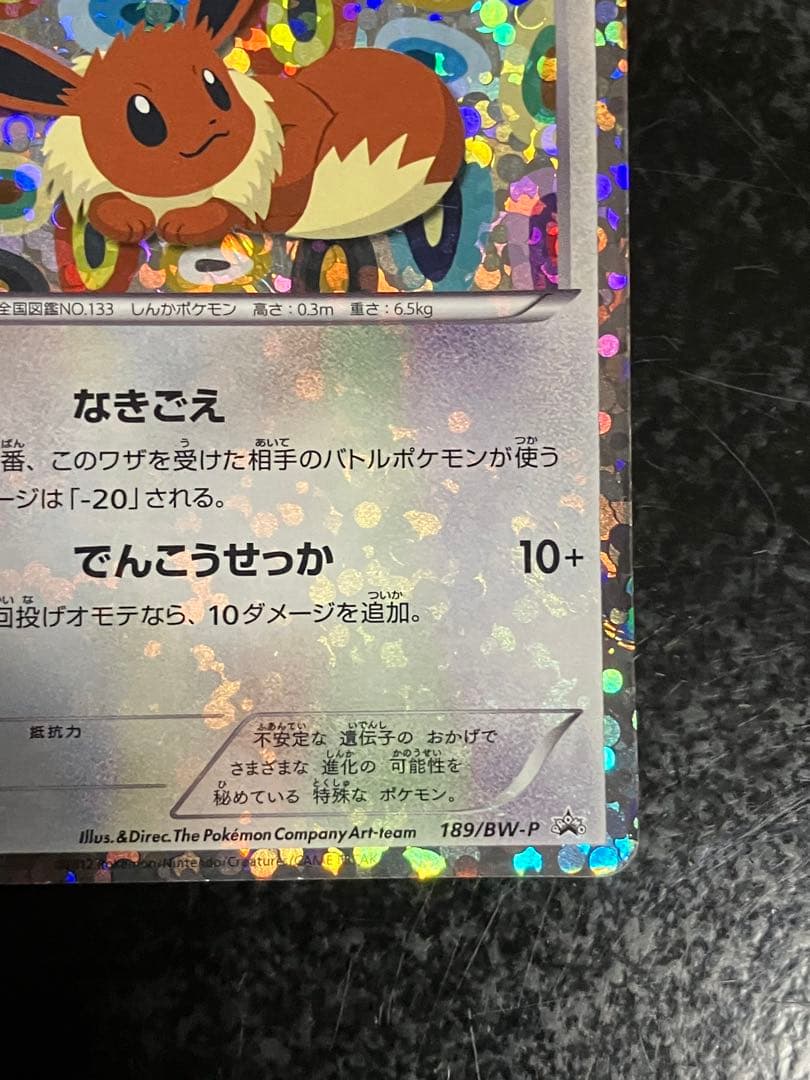 ポケモンカード イーブイ
